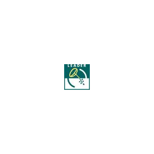leader logo