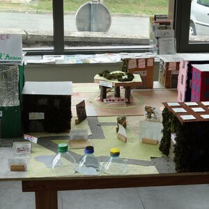 DSC08006