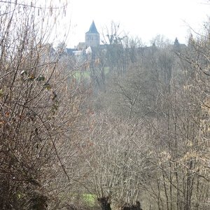 DSC06383