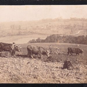 Cliché Le Clere 1903 : le labourage