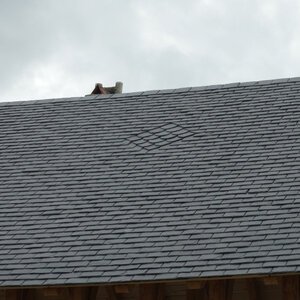 DSC07690