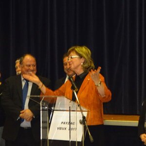 au pupitre, Colette Langalde , députée