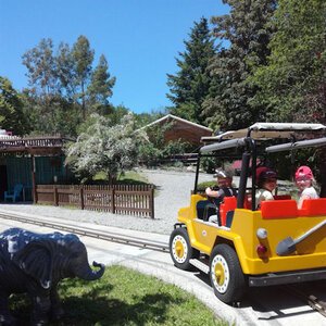 Préparation au safari.