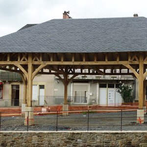 DSC07692